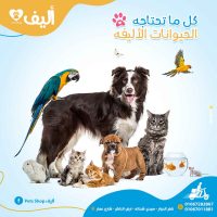 خدماتنا smartx projects (3)